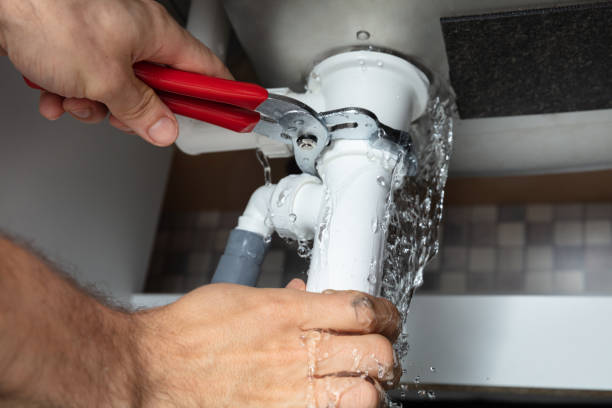 Best Flood damage cleanup  in Baraga, MI