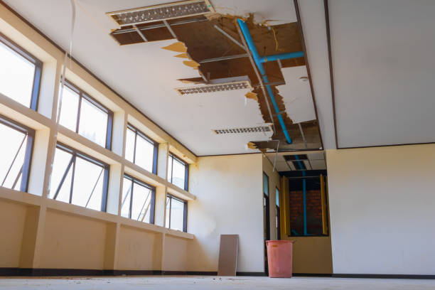 Best Water damage restoration near me  in Baraga, MI