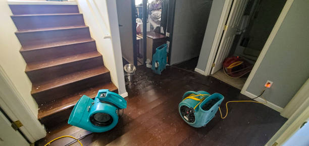 Best Water damage restoration near me  in Baraga, MI