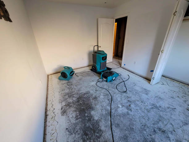 Reliable MI Water damage restoration Solutions