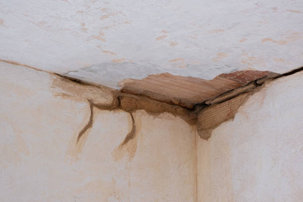 Best Basement water damage restoration  in Baraga, MI