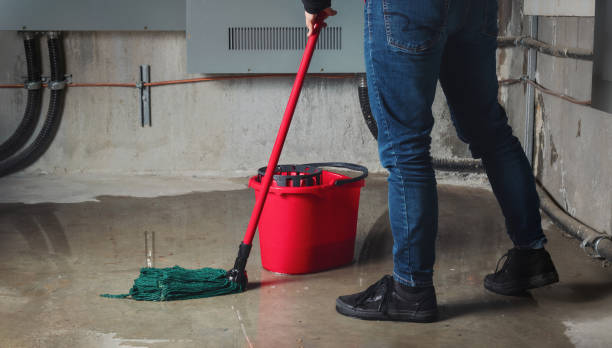 Best Ceiling water damage repair  in Baraga, MI