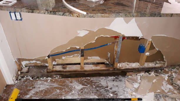 Best Mold removal after water damage  in Baraga, MI