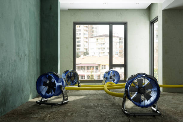Best Emergency water damage restoration  in Baraga, MI